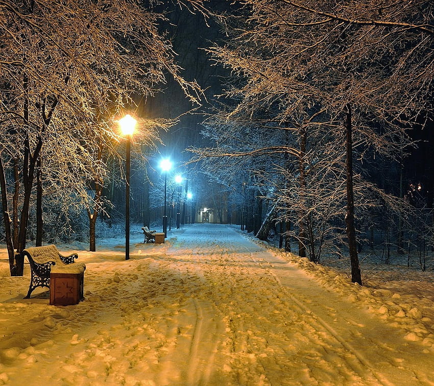 zima, śnieg, noc, latarnia uliczna, ścieżka, drzewa, ławka, świetlna ścieżka Tapeta HD