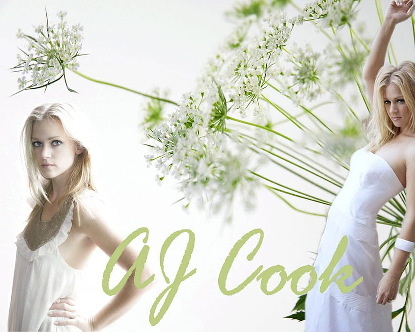 A J Cook Car Nature [1600x1200] for your , Mobile & Tablet HD wallpaper