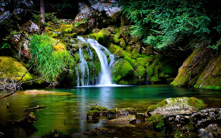 Las tropikalny, wodospad, zielony, kraj, Francja, natura, estetyczny las deszczowy anime Tapeta HD