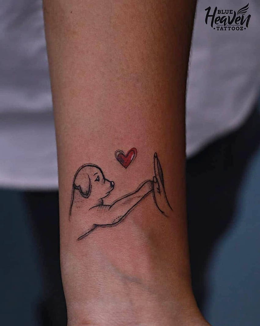Possible blow out First tattoo as a tribute to my dog I have anxiety and  tend to overthink things Could use some reassurance that my tattoo is  is  not blown out 