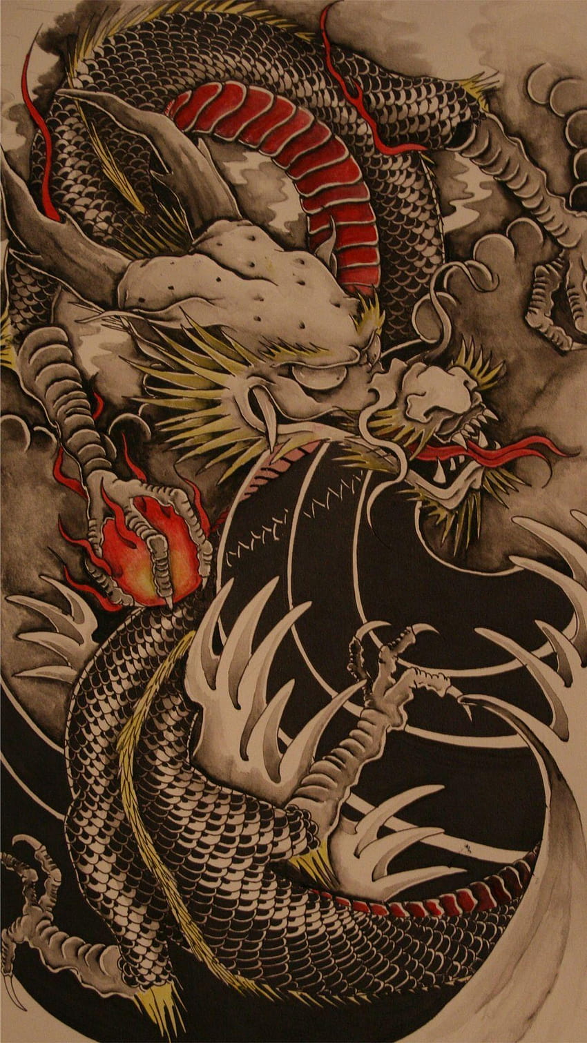 Известни 5 японски татуировки на дракони, дракон irezumi HD тапет за телефон