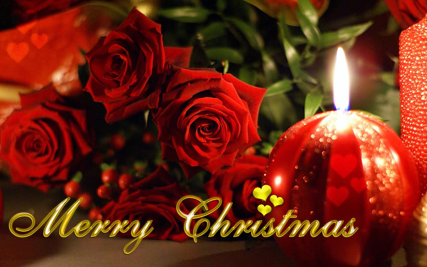 Merry Christmas With Rose, merry christmas flowers HD wallpaper