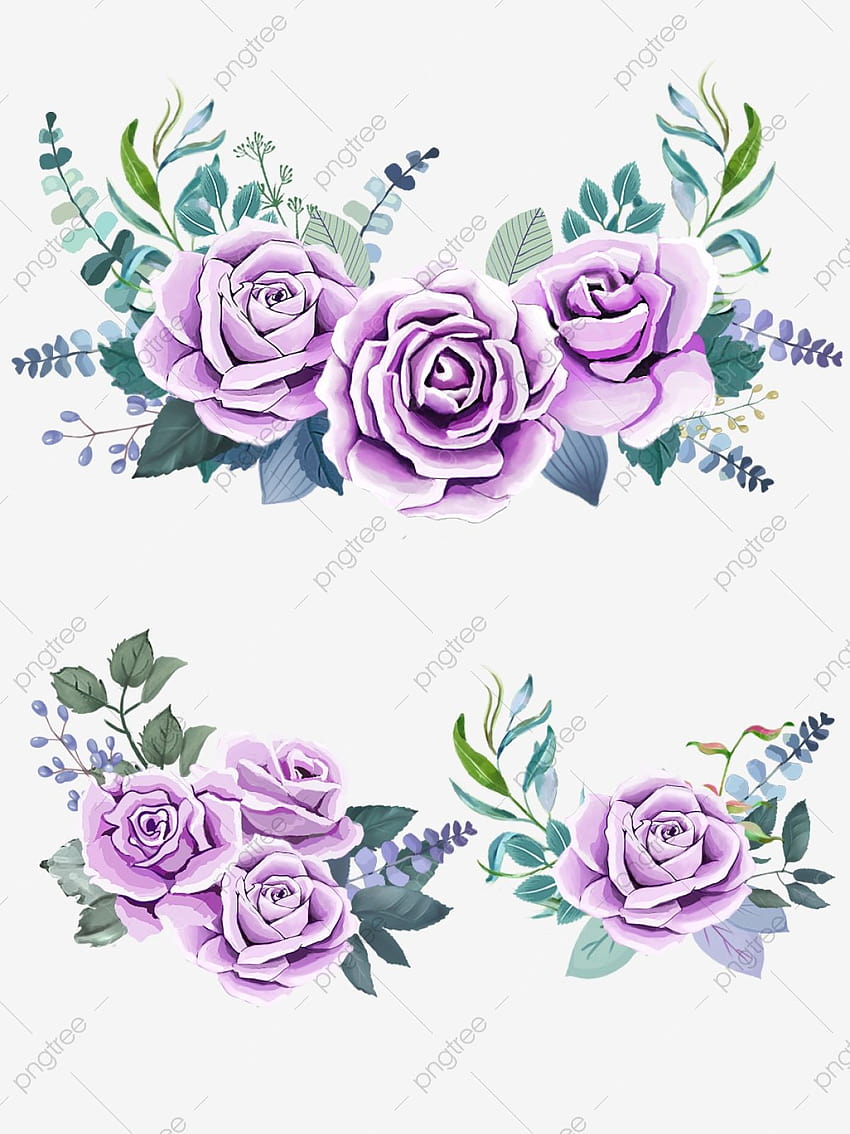 Purple Roses, Watercolor, Green Leaves, Yellow Flowers PNG Transparent and Clipart for, rose on fire purple HD phone wallpaper