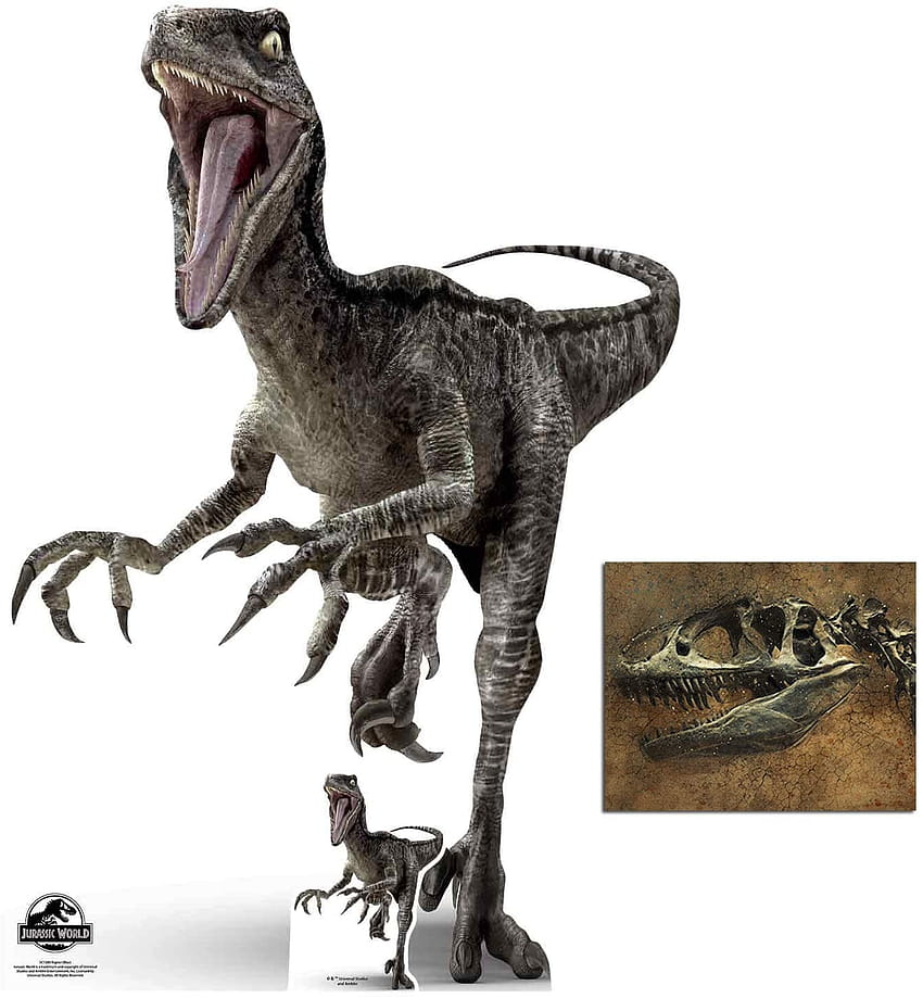 Velociraptor Dinosaurus Biru Jurassic ...amazon wallpaper ponsel HD