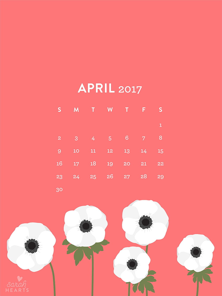 White Anemones April 2017 Calendar, calendar 2017 HD phone wallpaper ...