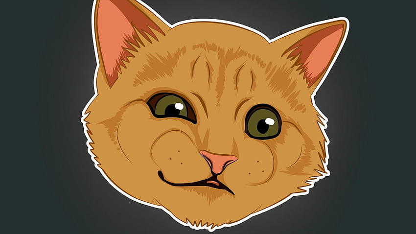 1366x768 cat, emotions, funny, art, meme, orange cat laptop HD wallpaper