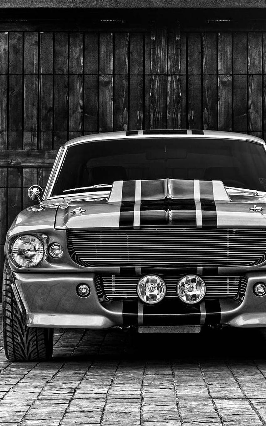 6 Shelby Portrait, 1967 Ford Mustang Shelby GT500 iPhone HD-Handy-Hintergrundbild