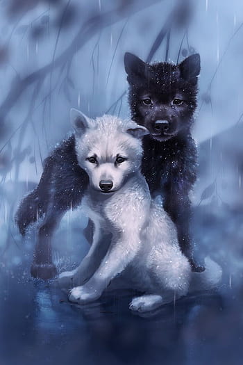 7,990 Two Wolves Images, Stock Photos & Vectors | Shutterstock