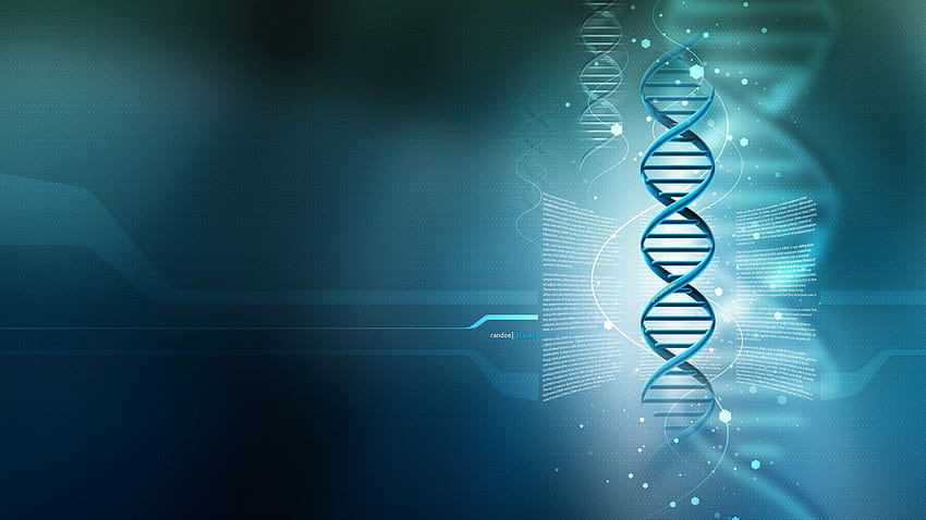 DNA、染色体 高画質の壁紙