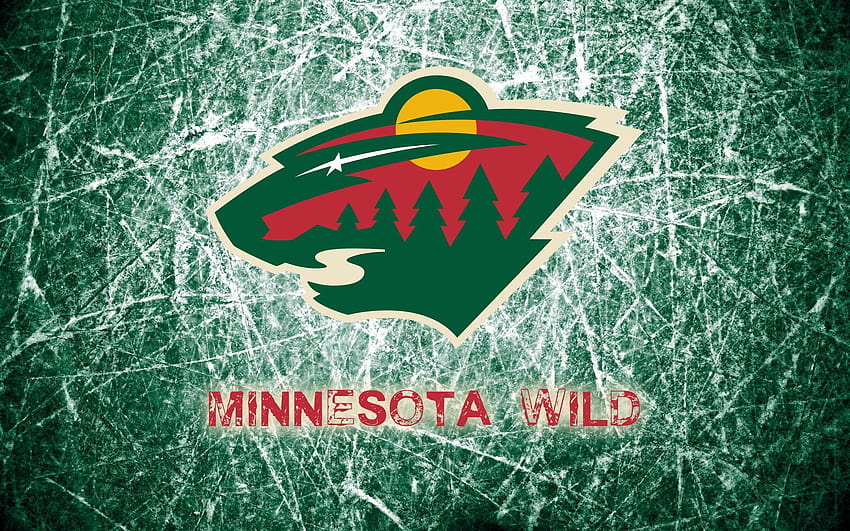 Minnesota Wild 2014 Logo Wide or HD wallpaper
