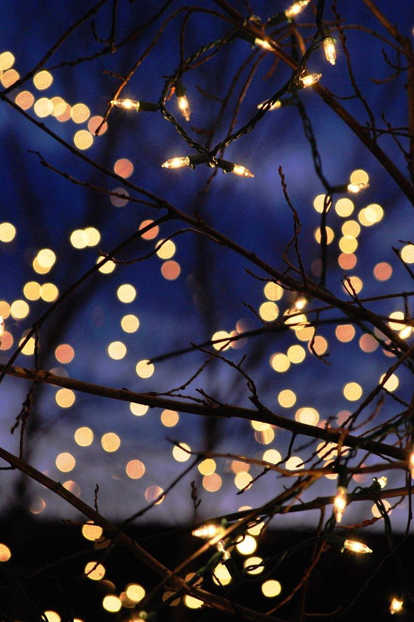 Christmas Lights Backgrounds Tumblr, aesthetic HD wallpaper | Pxfuel