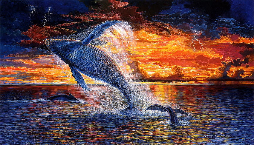 baleines illustrations couleurs bodykit 2403x1374 haute qualité, haute définition, art de la baleine Fond d'écran HD