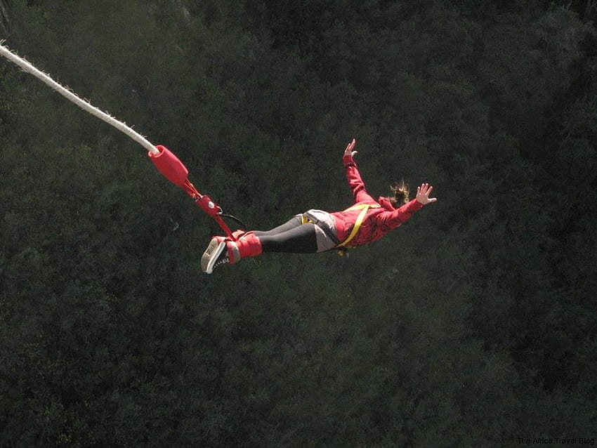 Quotes about Bungee Jumping HD wallpaper