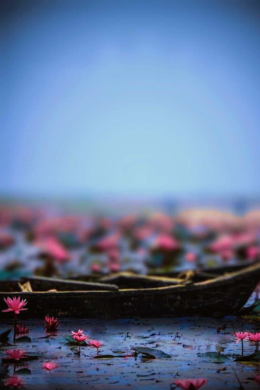 Tell Me Why HD Wallpapers and Backgrounds