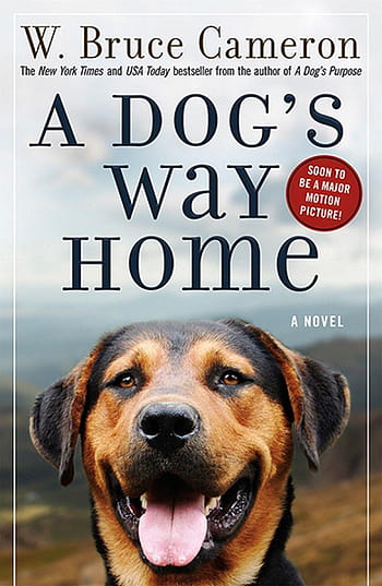 does the dog make it home in a dogs way home