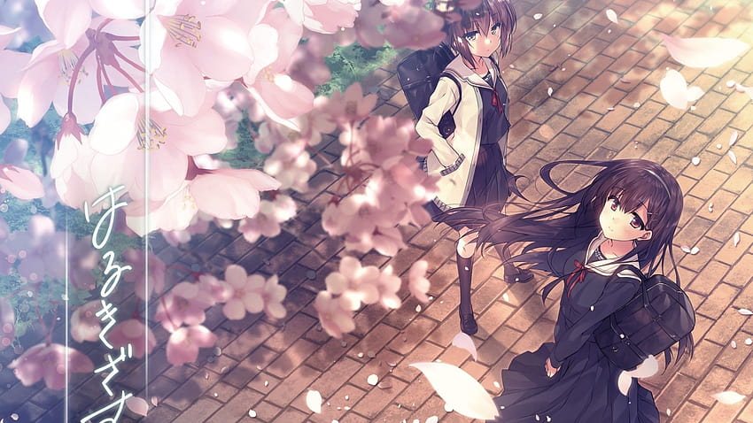 1920x1080 Sakura Blossom, Spring, Anime Girls, School Uniform, Bag, Wind for , anime spring girls HD wallpaper