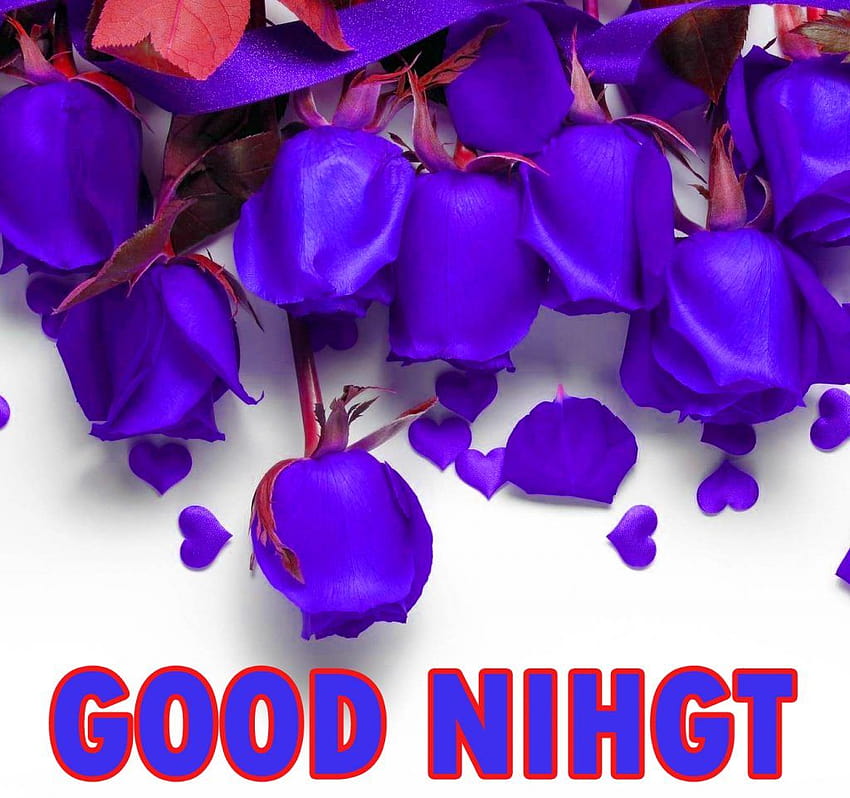 42 Beautiful Good Night Wishes Pics for Whatsapp, good morning and good night HD wallpaper