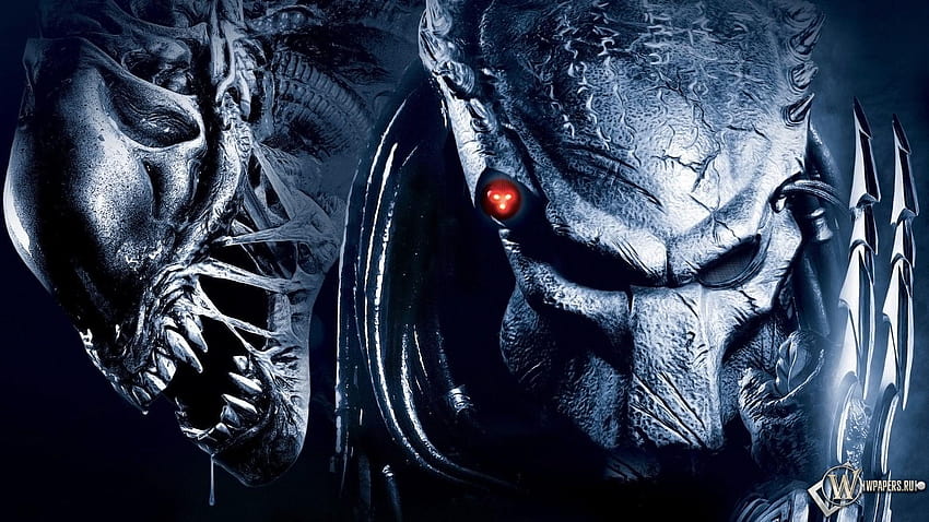 17 Alien vs. Predador, alienígena vs predador papel de parede HD