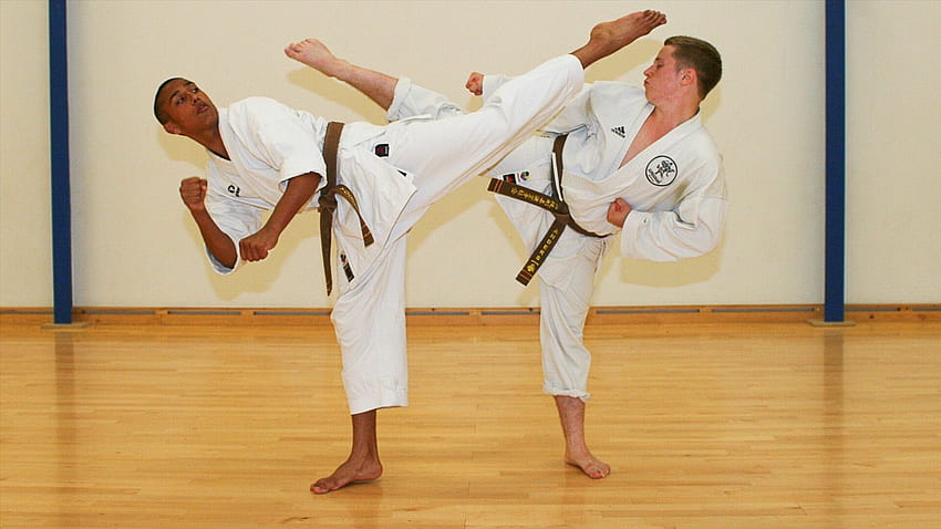5 Karate : , for PC and Mobile, full contact karate HD wallpaper