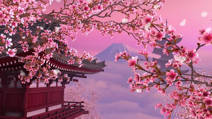 Kirschblütenhintergründe, Anime-Frühlingsästhetik HD-Hintergrundbild