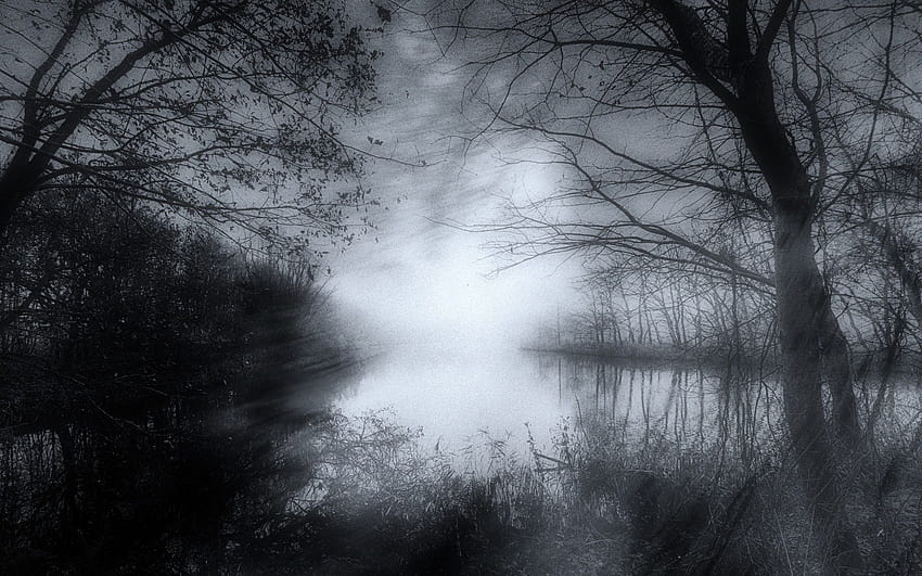 1920x1080 River, Trees, Fog, Morning, Haze JPG, morning haze HD wallpaper