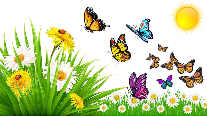 Doğa Yaz Çayır Böcekler Uğur Böceği Kelebekler Uçuşta Yabani Çiçekler Deveden Çiçek Ve Karahindiba Ultra İçin 3840x2160 : 13, yaz kelebekleri HD duvar kağıdı