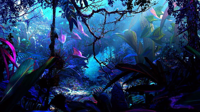 Avatar Pandora, perbatasan avatar pandora Wallpaper HD