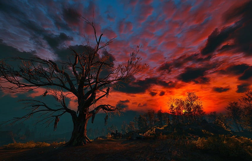 the sky, clouds, night, tree, The Witcher, gallows, The Witcher 3:Wild Hunt , section игры HD wallpaper