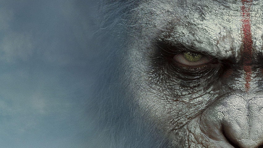 Dawn Of The Planet Of The Apes Film, césar planète des singes Fond d'écran HD