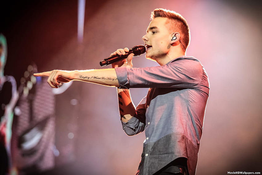 One Direction This Is Us, liam payne HD wallpaper