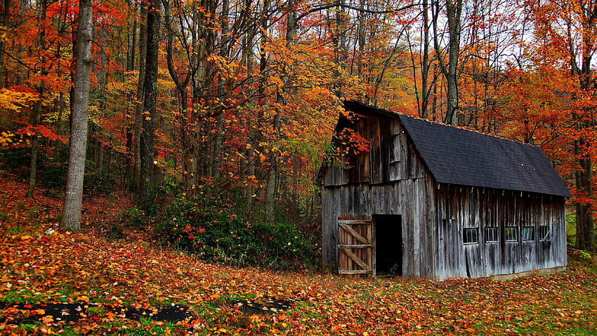 Fall in Virginia HD wallpaper