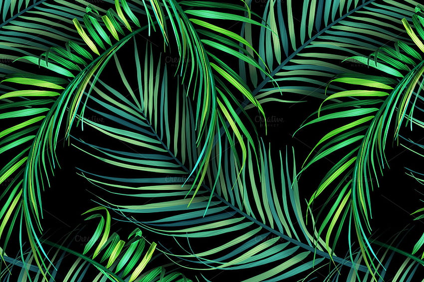 Палмови листа в джунглата. Тропически шарки Шарки върху креативни листа от джунгла HD тапет