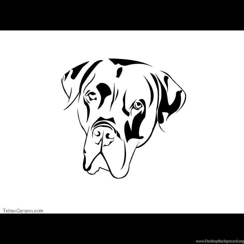 boxer dog outline on white background vector illustration Stock Vector  Image  Art  Alamy