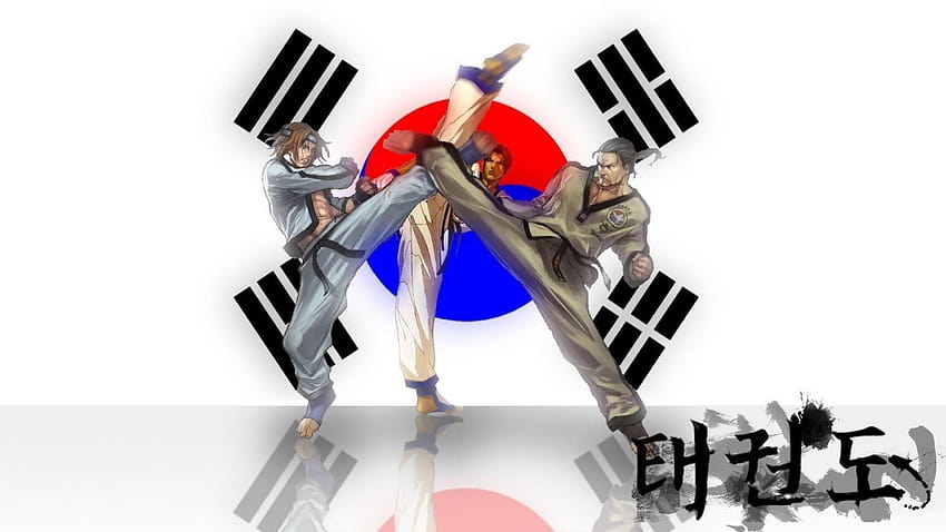 Tekken corea taekwondo hwoarang, itf taekwondo Sfondo HD