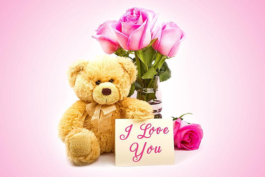 Valentine's Day Roses Flowers Teddy bear Toys, i love you teddy bear HD wallpaper