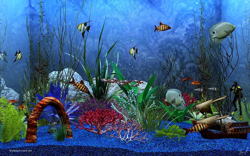ikan bergerak в аквариума HD тапет