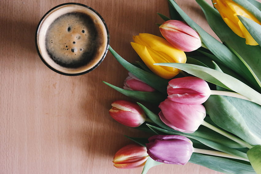 Pink and Yellow Tulips Beside Drinking Glass · Stock, spring coffee HD wallpaper