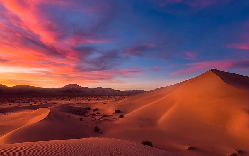 2560x1600 Desert, Sunset, Relaxing, Sands, Shrubs for MacBook Pro 13 inch,  desert sunset HD wallpaper | Pxfuel