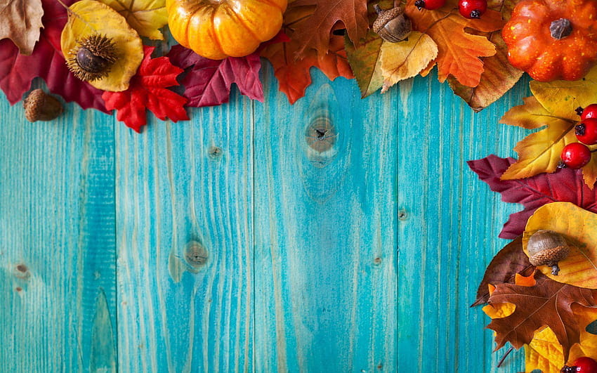 Autumn leaves on the blue wood backgrounds and HD wallpaper | Pxfuel