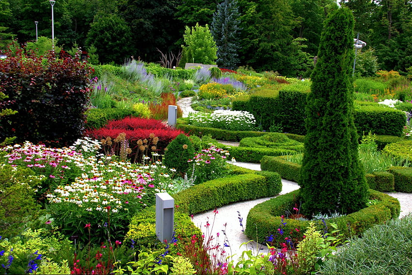 Echinacea, Sträucher, Toronto, Mobile, Ontario, Natur, der vergessene Garten HD-Hintergrundbild