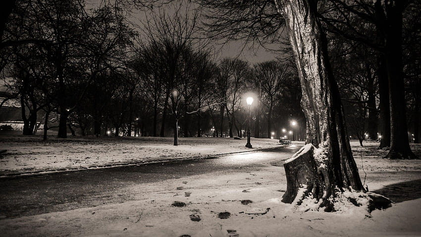 bianco e nero, natura, neve, alberi, buio, notte, luci, New York, central park nella neve di notte Sfondo HD
