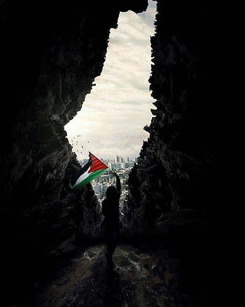 Palestine HD wallpapers  Pxfuel