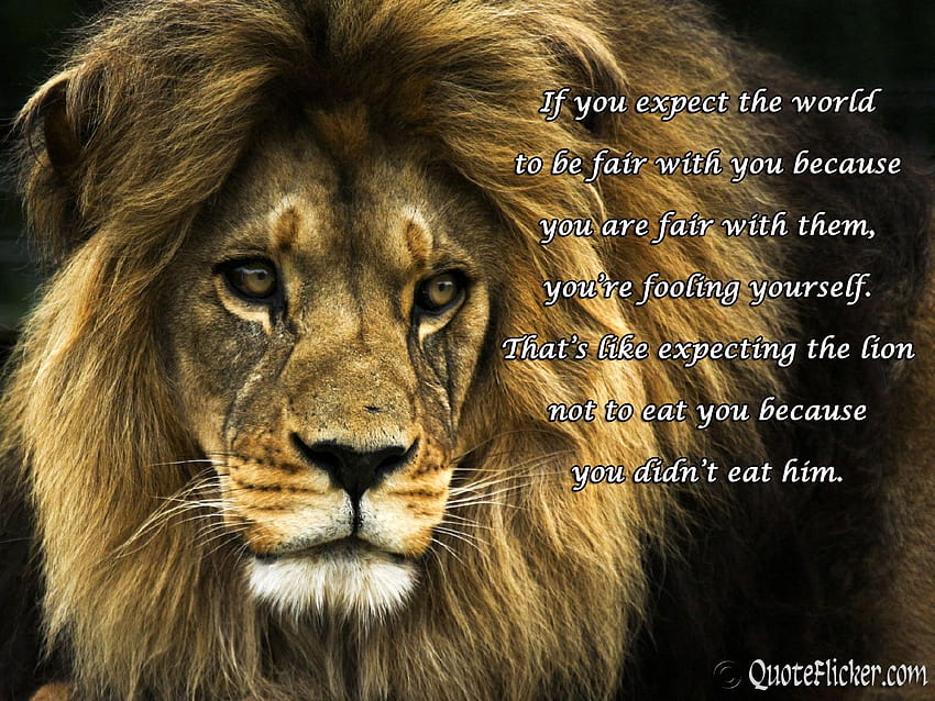Strong Lion Quotes . QuotesGram HD wallpaper