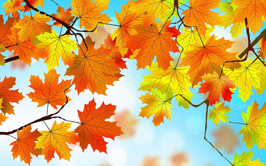 2560x1600 Autumn Leaves 2560x1600 Resolution HD wallpaper