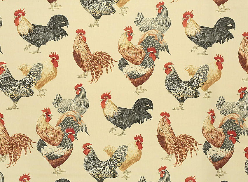 Latar Belakang Pola Ayam ~, unggas Wallpaper HD