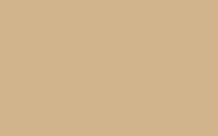 Solid Brown, aesthetic light brown HD wallpaper