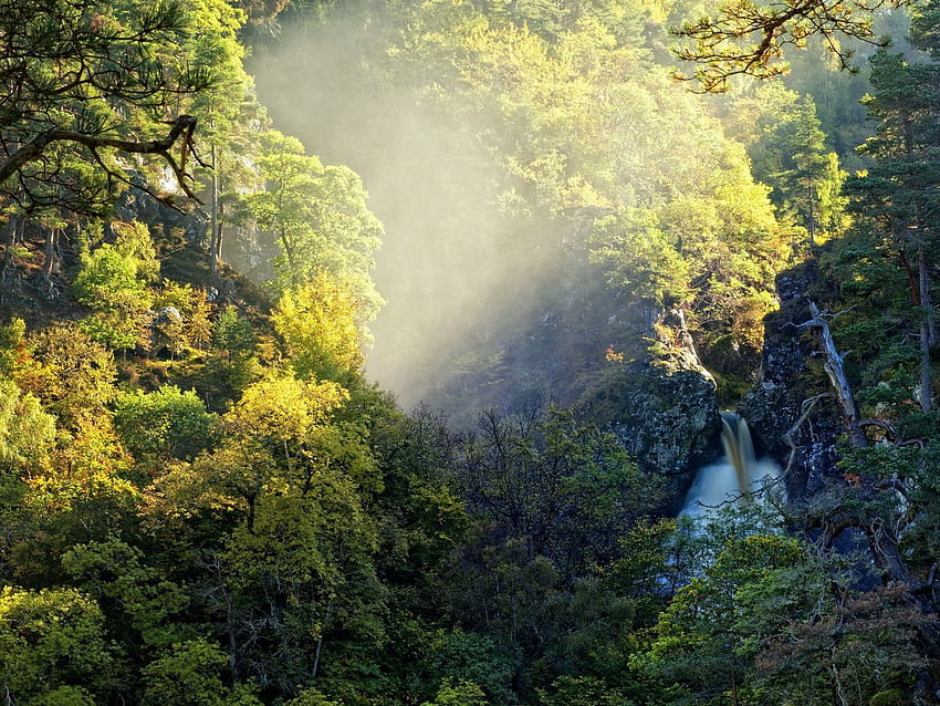1400x1050 Wasserfälle, Dickicht, Dschungel, Bach, Wasser, Schmutz, Licht, Dunst, Verdunstung, feuchte Standard-4:3-Hintergründe HD-Hintergrundbild