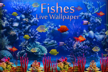 7,764 3d Wallpaper Fish Images, Stock Photos & Vectors | Shutterstock