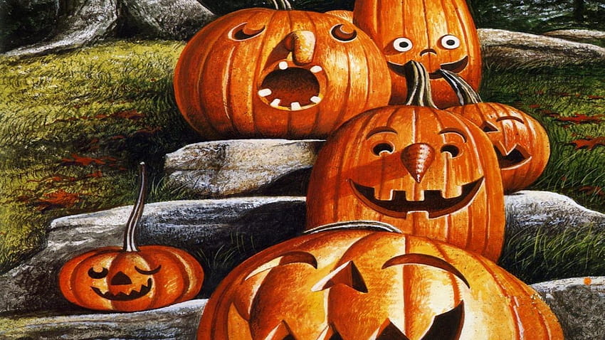funny pumpkin halloween funny, halloween pumpkin heads HD wallpaper
