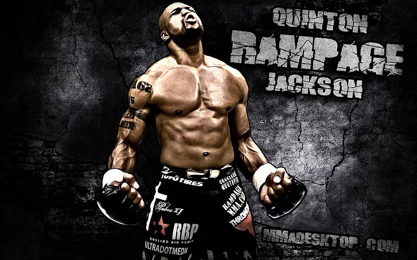 UFC mixed martial arts mma fight extreme HD wallpaper